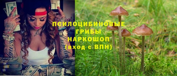 шишки Балабаново