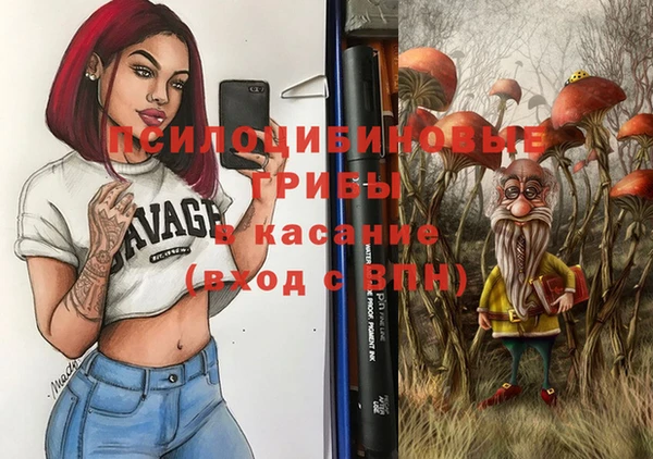 шишки Балабаново