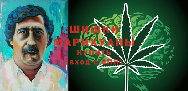 шишки Балабаново