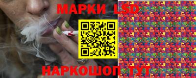гидра Лесосибирск
