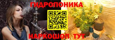 гидра Лесосибирск