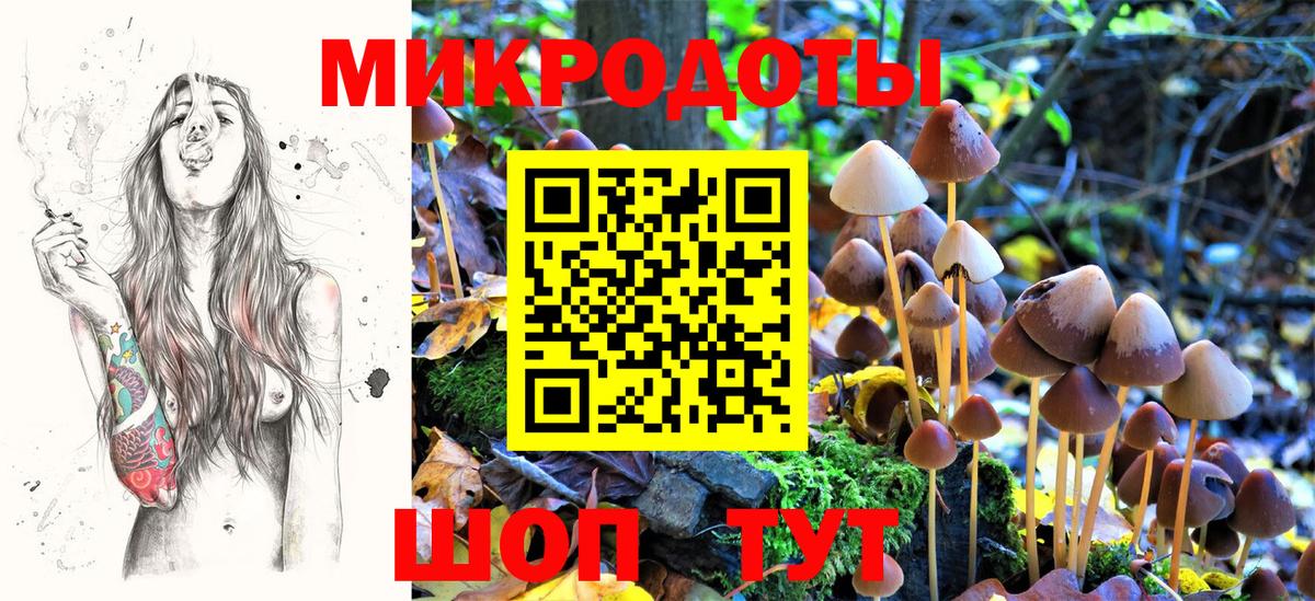 Псилоцибиновые грибы Psilocybine cubensis Ессентуки