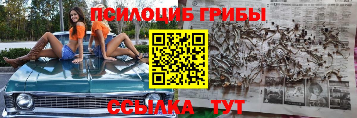 Галлюциногенные грибы ЛСД  цены наркотик  Вход с VPN  Ессентуки  Галлюциногенные грибы Psilocybine cubensis 